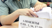 В Коми разыскивают 34-летнюю мать, задолжавшую по алиментам 860 тысяч рублей