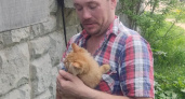 Спасатели из Сыктывкара вызволили котенка из подвала