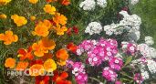 Огород "заиграет" новыми красками: 6 потрясающих идей, превратят скучный огород в райский уголок