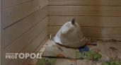 В сыктывкарских банях поднимут цены на некоторые услуги 
