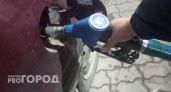 В Сыктывкаре на нескольких автозаправках выросли цены на бензин
