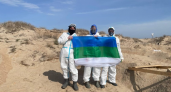 Коми приходит на помощь: волонтеры спасают Черное море от нефтяной катастрофы