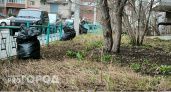Весенняя уборка начинается: в Сыктывкаре объявлены даты общегородских субботников