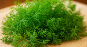 Укроп не рос: сработал метод "бездельника" — теперь густой, как веник, из любого сорта