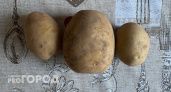 В Коми выросли цены на картофель 