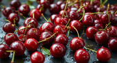 Вишне весной — обязательно: всего 600 граммов на 10 литров — и ягод нарастет тьма: будут крупнее сливы и слаще меда