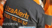ЛизаАлерт ищет добровольцев: в Сыктывкаре состоится встреча для будущих поисковиков