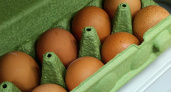 Конвейерные пустышки: в Роскачестве назвали марки яиц из черного списка - не берите на завтрак
