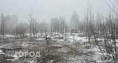 На севере Коми выпадет снег: синоптики рассказали о погоде на 20 мая 