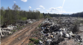 Коми рассчитывает на федеральные средства для "генеральной уборки" свалок