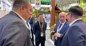 Коми представляет аграрный потенциал на выставке "Золотая осень-2025"