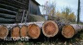 Суд запретил компании из Коми вывозить древесину без карантинного сертификата