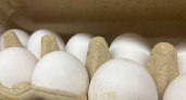 Конвейерные пустышки: в Роскачестве назвали марки яиц из "черного списка" - не берите на завтрак