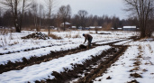 Мощнее навоза, дрожжей и помета: кидаю на грядки по снегу в феврале — двойной чернозем уже в марте