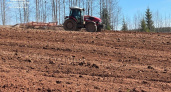В Коми определены ключевые направления для проведения весенних полевых работ в новом сельскохозяйственном сезоне