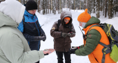 Отряд "ЛизаАлерт" в Коми за март нашёл 7 из 11 пропавших людей 