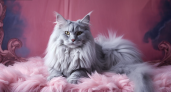 10 самых красивых пород кошек - рейтинг опытных заводчиков 2026