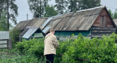 1 пузырек в бочку с водой — и поливаю все подряд: растения как на дрожжах растут, зелень сочная, цветы яркие