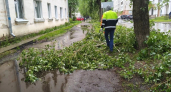 В Сыктывкаре коммунальные службы борются с последствиями вчерашнего урагана