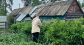 Крапива в саду расти не успевает — идет на мармелад: рецепт отличного десерта для всех семьи — вкус 10 из 10