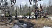Минприроды Коми зафиксировало грубые нарушения на Нижнеомринском нефтяном месторождении в Троицко-Печорском районе