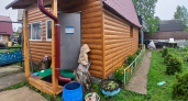 Лейки на даче уходят в прошлое: сейчас все предпочитают для полива этот вариант — куда надежнее и удобнее