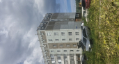 В Сыктывкаре началась масштабная кампания по уничтожению борщевика