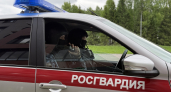 В Коми силовики остановили дебошира в кафе 