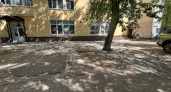 Тополиный пух захватил Сыктывкар: врачи развеяли страхи, а ЖКХ напомнил о чистых дворах
