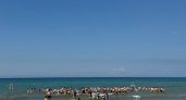 470 детей из Коми снова купаются в море: в «Черноморской зорьке» открыли пляж после годового перерыва
