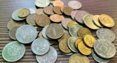 В Коми в промпарке «Зеленец» выставили на продажу гектар земли за 20 миллионов рублей