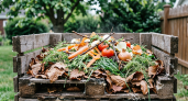 Три ложки порошка превращают компостную кучу в печь лучше многих препаратов — исчезают даже кости