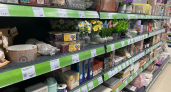 Зашла в Fix Price просто за мелочами по 77 рублей — и «застряла» у новинок: 10 находок, которые нужны каждой хозяйке
