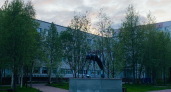 Один из городов Коми обработают от гнуса 