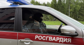 В одном из баров Коми буйная посетительница запустила бутылку в сотрудника заведения 