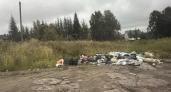 Пригород Сыктывкара утопает в отходах: почему частный сектор превращается в свалку