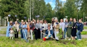 В Сыктывкаре высадили Аллею в честь 150-летия Союза театральных деятелей
