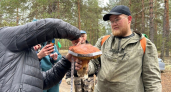 В Коми на чемпионате по сбору грибов нашли гиганта со шляпкой 75 сантиметров и весом 1,5 килограмма
