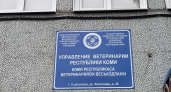 Жителям Коми напомнили об обязательном учёте животных  