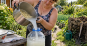 Воду после варки макарон сливаю в 5-литровые пластиковые бутылки — отвезу на дачу: накормлю растения и компост