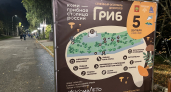 В Коми создали Грибной кодекс 