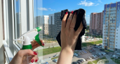 2 пакетика в воду — и окна до зимы настолько прозрачные, что их будто нет: соседи думают, у меня новые стеклопакеты