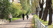 Избирком Коми ожидает явку на выборах в Госдуму на уровне 47–49%