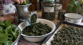 Малиновые листья больше не жгу: собираю, кручу через мясорубку и в морозилку — зимой достаю пакет за пакетом