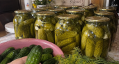 Эти солёные огурцы закрываю по 50 банок — хруст и вкус как из бочки: бабулин рецепт не подводит десятилетиями