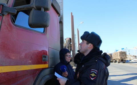 Операция «Лес» в Сыктывкаре: сотрудники ГИБДД проверили большегрузы и выявили более 40 нарушений (фото, видео)