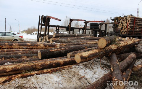 Водитель лесовоза рассказал, как можно было избежать ДТП в Сыктывкаре