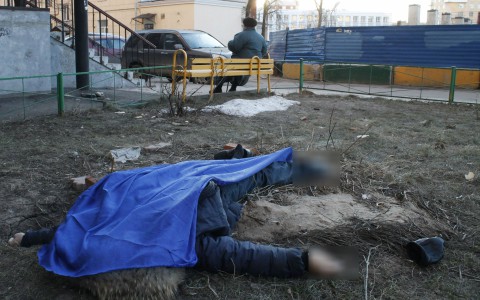 В Сыктывкаре во дворе дома и в квартире обнаружены два женских трупа