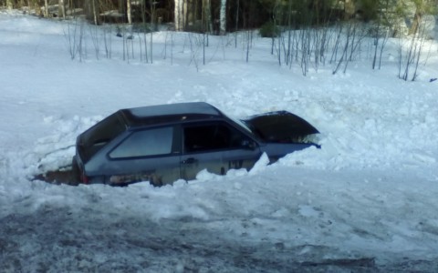 Под Сыктывкаром автомобиль вылетел в кювет из-за собаки (фото)