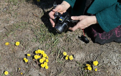 Погода в Сыктывкаре на 22 апреля: облачно с прояснениями